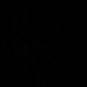 Meet your Posher, Lilly